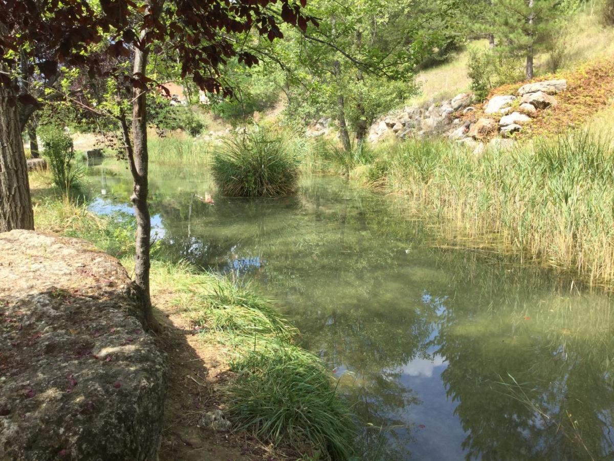 Mazet Lavande Saint-Martin-de-Bromes Ngoại thất bức ảnh
